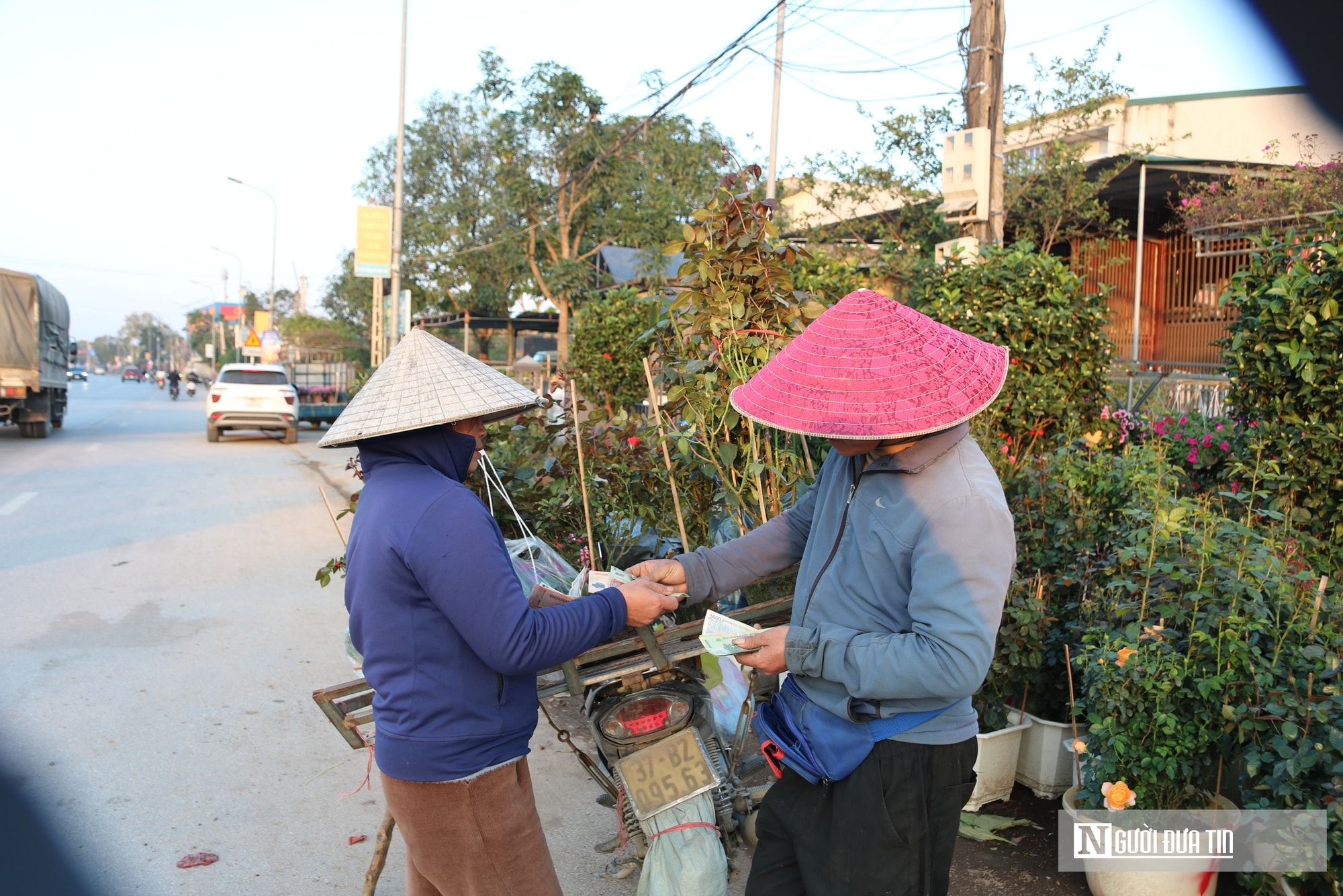 Nghệ An: Thị trường hoa cây cảnh Tết đã khởi động, người dân "tranh thủ" đón xuân sớm- Ảnh 10.