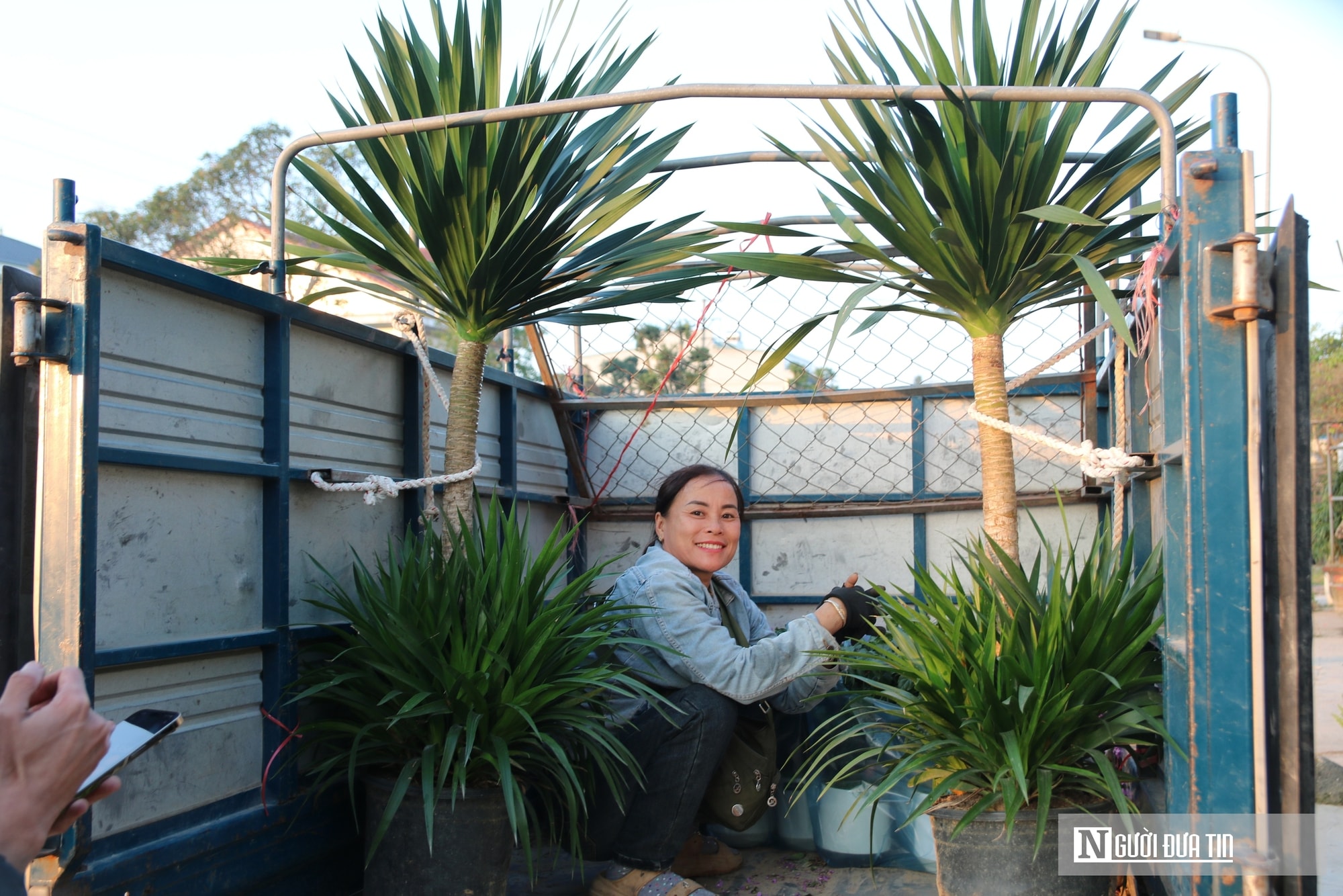 Nghệ An: Thị trường hoa cây cảnh Tết đã khởi động, người dân "tranh thủ" đón xuân sớm- Ảnh 15.