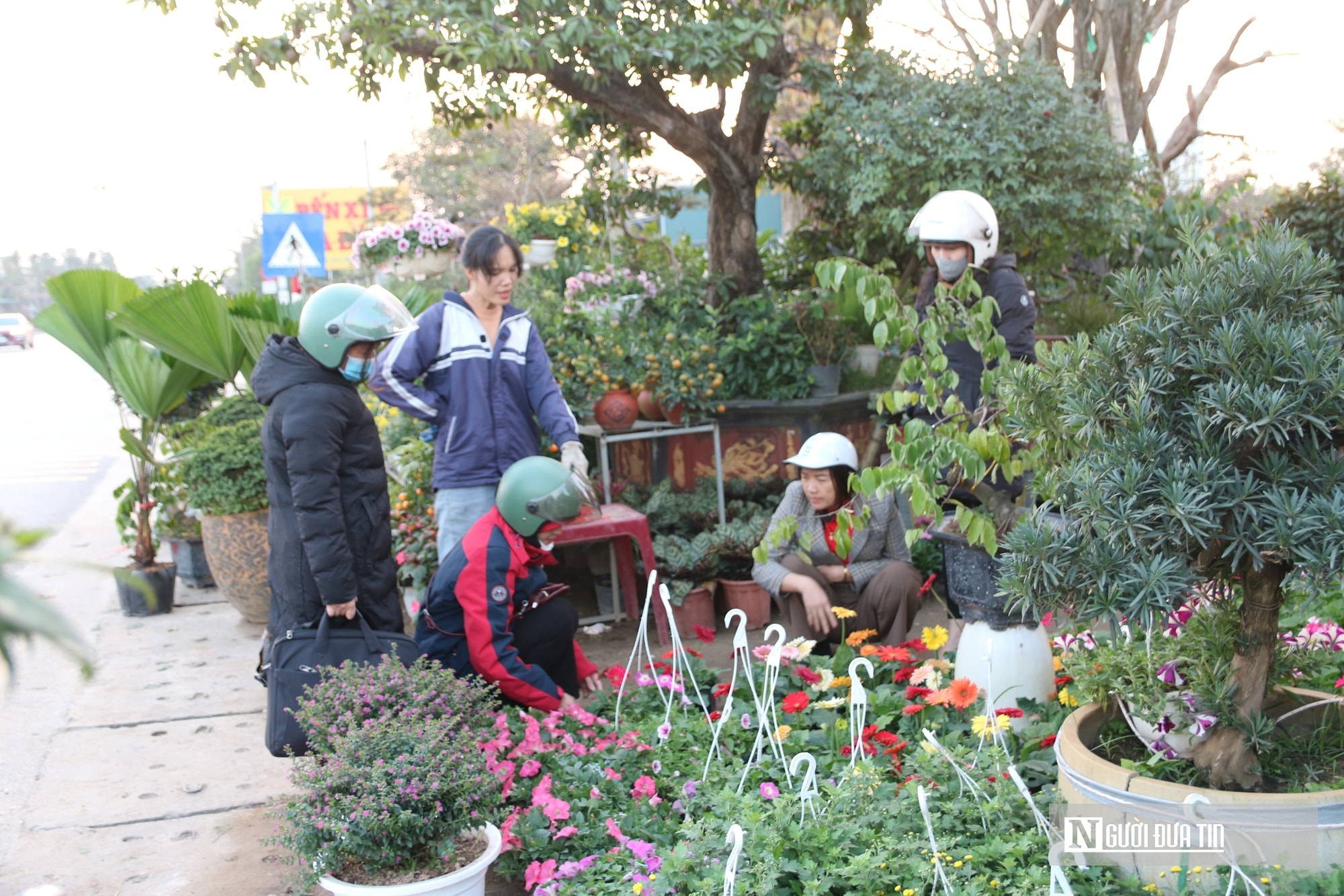 Nghệ An: Thị trường hoa cây cảnh Tết đã khởi động, người dân "tranh thủ" đón xuân sớm- Ảnh 16.