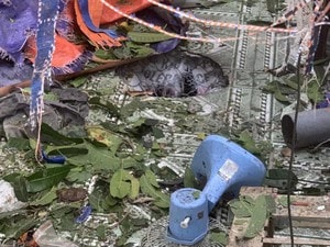 Thấy con trai kêu thất thanh, bố mẹ chạy ra thấy cảnh tượng "nổi da gà"- Ảnh 3.