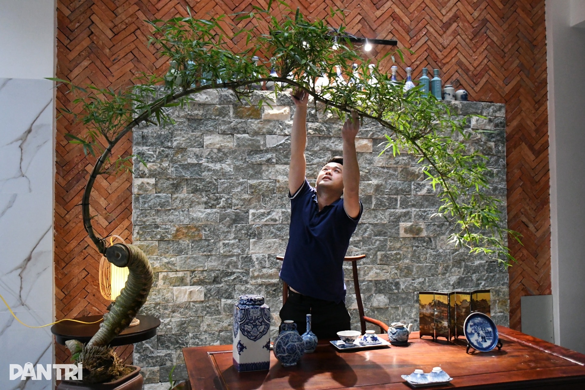 Biến gốc tre thành bonsai có giá hàng chục triệu đồng - 7 Biến gốc tre thành bonsai có giá hàng chục triệu đồng - 7