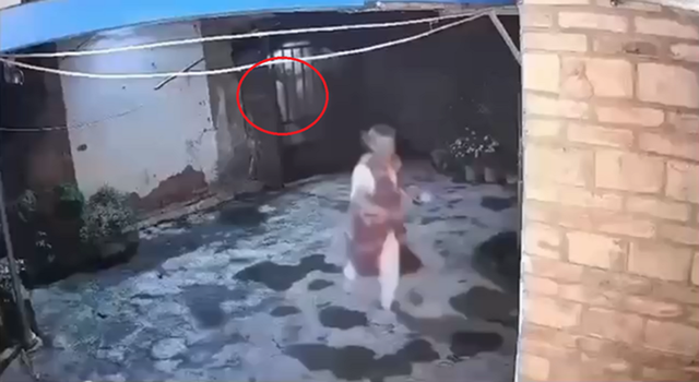 Đang đứng ngoài sân, cụ bà bất ngờ thấy cảnh tượng "nổi da gà" giữa đêm - Ảnh 1.