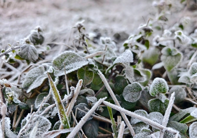 Miền Bắc đón đợt không khí lạnh cường độ mạnh, bỏ túi ngay 5 "thần dược" giữ ấm cơ thể cực tốt - Ảnh 1.