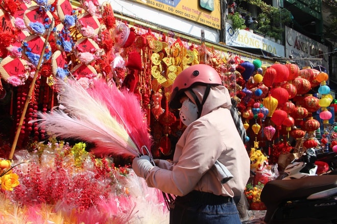 Du khách quốc tế thích thú trải nghiệm không khí Tết ở TP HCM  - Ảnh 2.