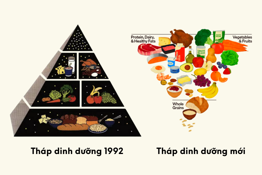 so sánh hai tháp dinh dưỡng