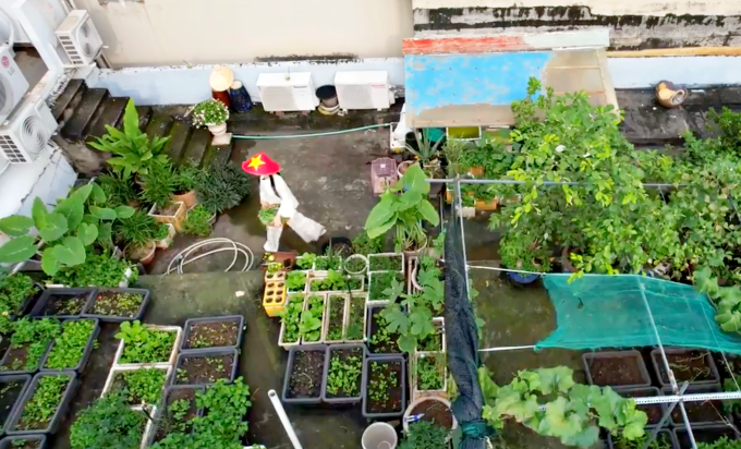 Vườn rau của gia đình Thúy An khi nhìn từ trên cao xuống. Ảnh: Tuấn Việt