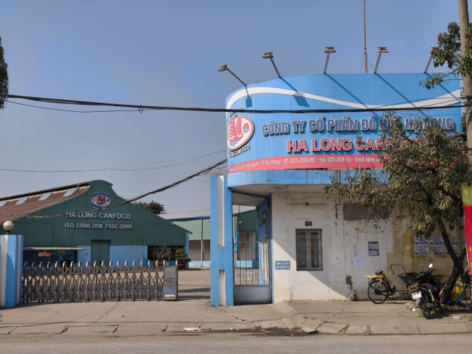 Công ty Đồ Hộp Hạ Long - Hải Phòng, sáng ngày 13/1. Ảnh: Lê Tân