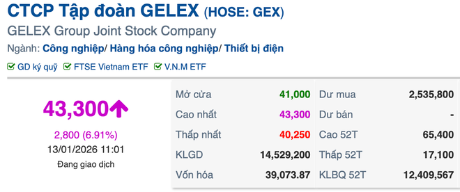 Nhóm cổ phiếu Gelex đồng loạt bứt tốc, dòng tiền đổ mạnh giữa sóng lợi nhuận khủng của VIX- Ảnh 4.