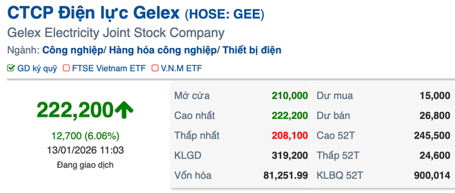 Nhóm cổ phiếu Gelex đồng loạt bứt tốc, dòng tiền đổ mạnh giữa sóng lợi nhuận khủng của VIX- Ảnh 2.