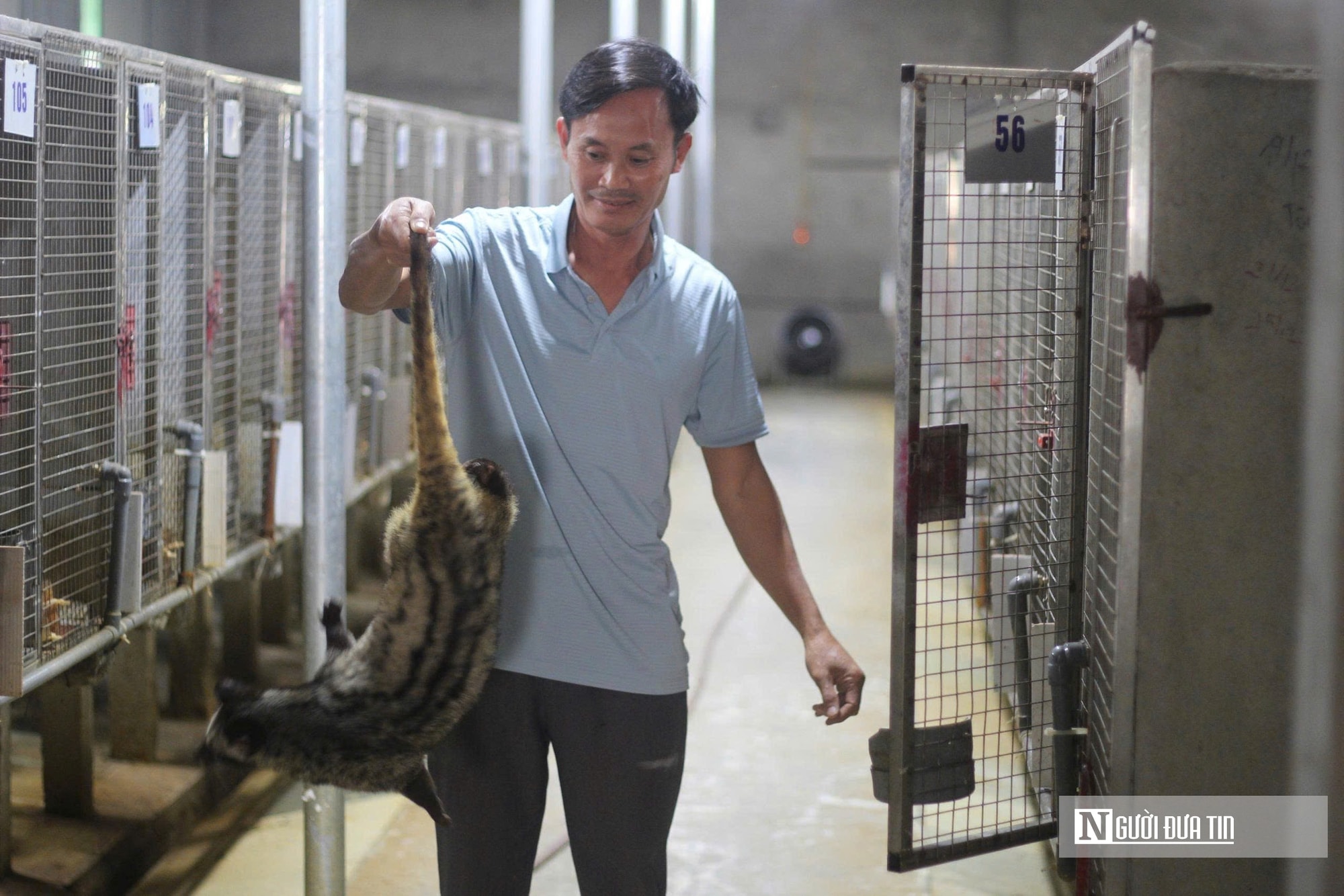 Về quê nuôi 70 “con khó tính”, sau 3 năm người đàn ông gặt hái cơ ngơi tiền tỷ - Ảnh 8.