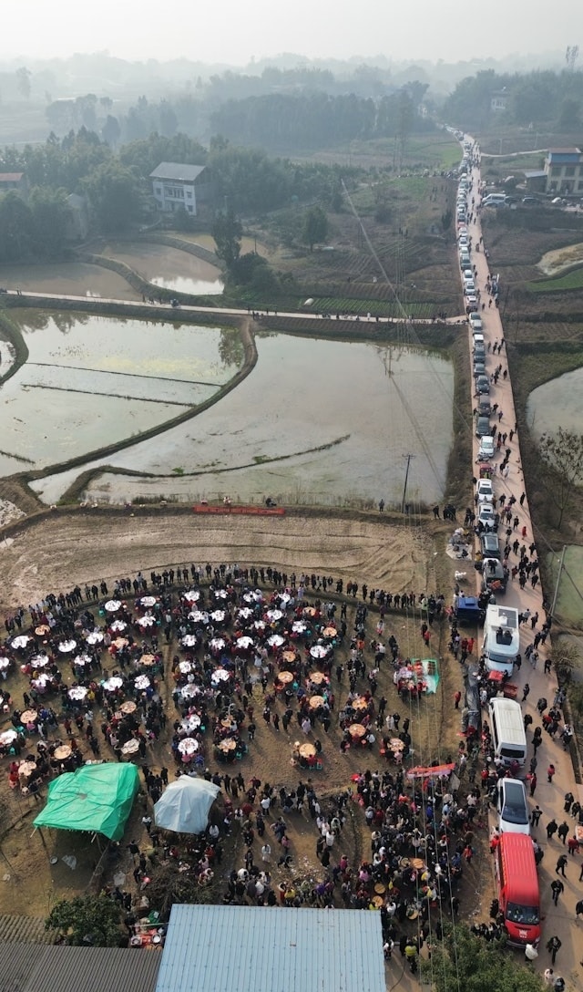 Đăng tin tìm người giúp mổ lợn, cô gái sốc nặng trước nhà - Ảnh 2.