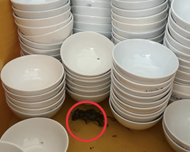 Bộ Y tế yêu cầu kiểm tra khẩn bếp ăn nhà hàng tiệc cưới sau phản ánh mất vệ sinh - Ảnh 1.