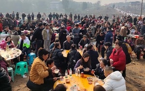 Bí mật “sống thọ” của cây ô liu 3.000 tuổi- Ảnh 3.