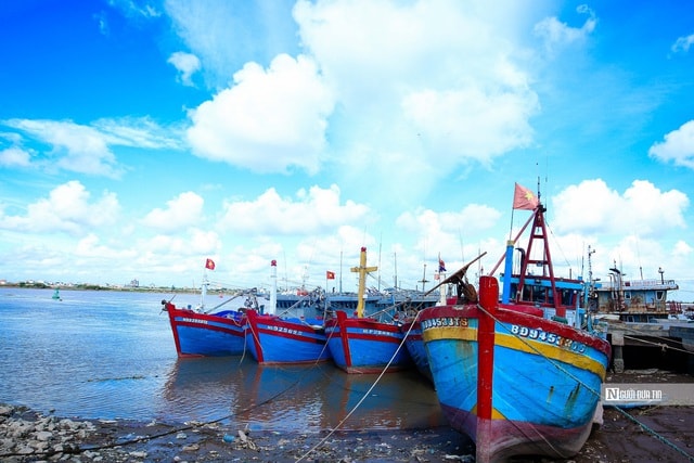 Thủ tướng phát lệnh “tuyên chiến” với khai thác IUU, không để lọt vi phạm- Ảnh 2.