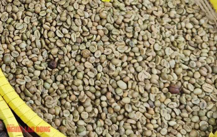 Giá cà phê hôm nay 14 - 1: Tăng giá đồng loạt , Brazil xuất khẩu giảm sâu - Ảnh 2.