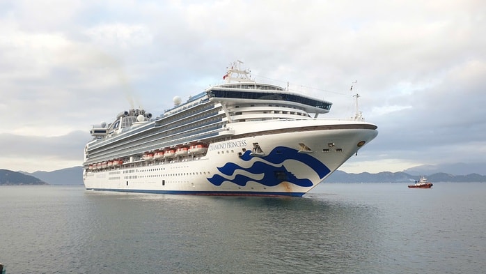 Khánh Hòa: Đón hơn 2.600 du khách quốc tế từ tàu biển Diamond Princess - Ảnh 1.