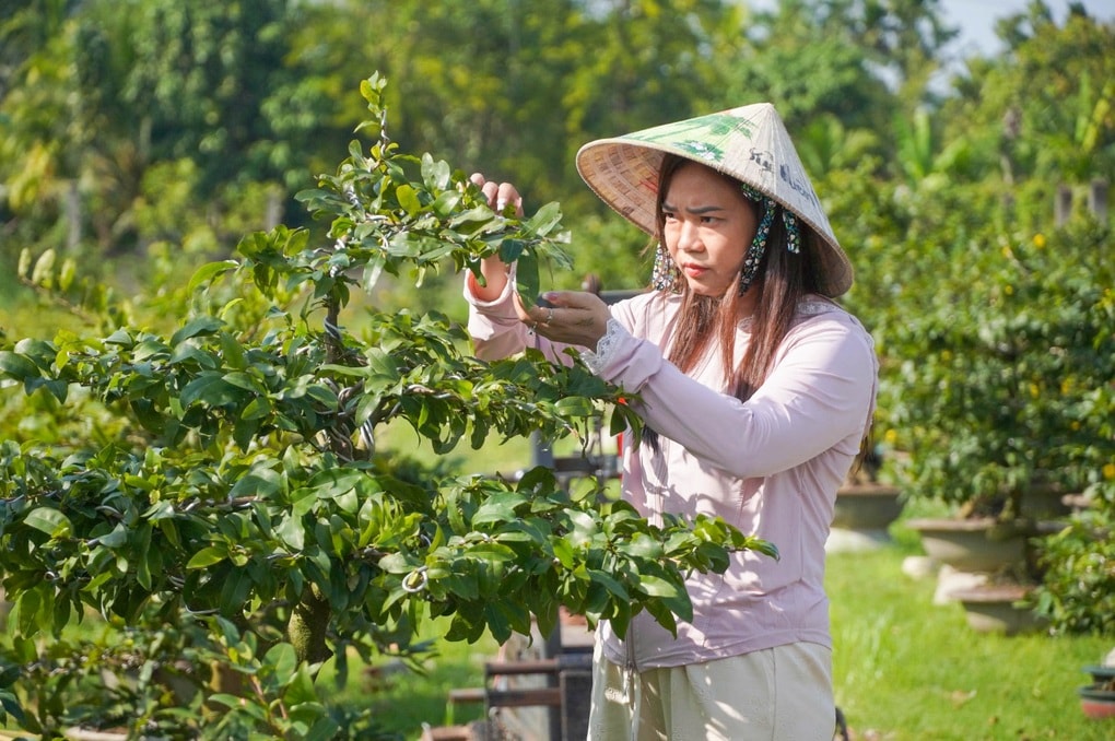 Nữ chủ vườn thu 300 triệu đồng/tháng nhờ livestream bán mai - 1