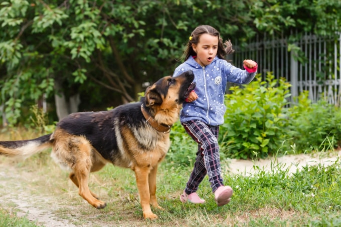 Trẻ em nô đùa không đúng cách cùng vật nuôi có thể bị cắn. Ảnh minh họa: Vecteezy