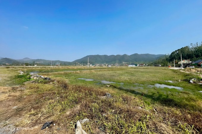 Khu đất đấu giá Rú Cụp - Nam Lĩnh vắng bóng môi giới, chiều 13/1. Ảnh: Đức Hùng