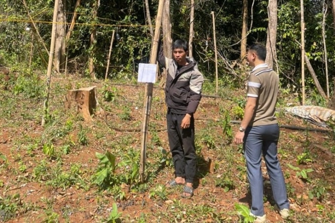 Võ Đăng Phương, người mặc áo khoác, tại hiện trường trồng cần sa. Ảnh: Công an