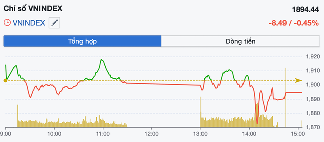 VN-Index mất mốc 1.900 điểm, dòng tiền luân chuyển sang cổ phiếu vừa và nhỏ- Ảnh 1.