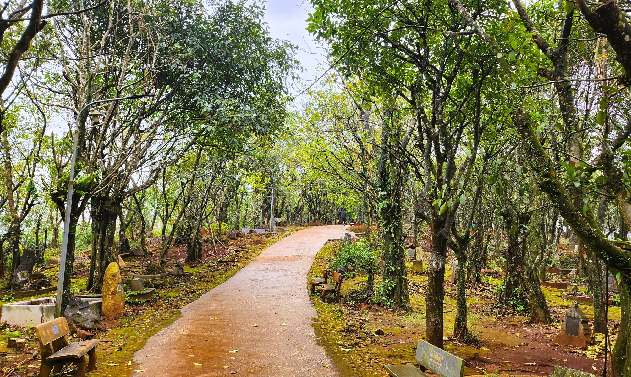 Huyệt đạo thiêng trên núi Nưa trong diện mạo mới - Ảnh 7.