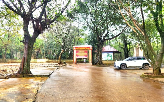 Huyệt đạo thiêng trên núi Nưa trong diện mạo mới - Ảnh 4.