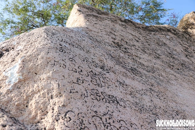 Tấm bia đá khắc chữ Chăm cổ phơi nắng gió giữa cánh đồng cần được bảo tồn- Ảnh 3.