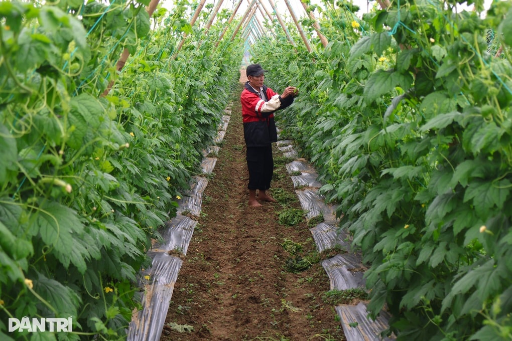 Niềm vui trước Tết của người dân từng bị lũ vùi dập - 1