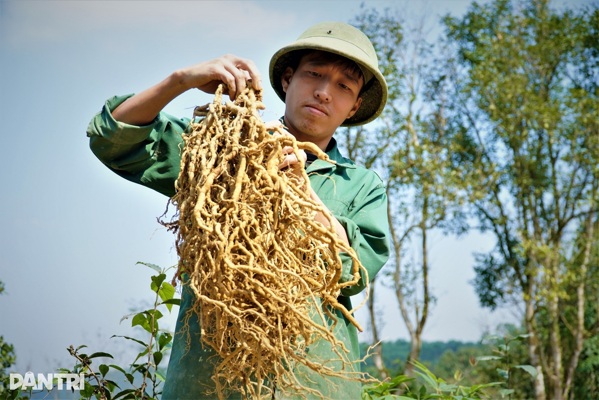 Anh nông dân với cú liều đưa cây thần dược về vùng đất hoang - 7