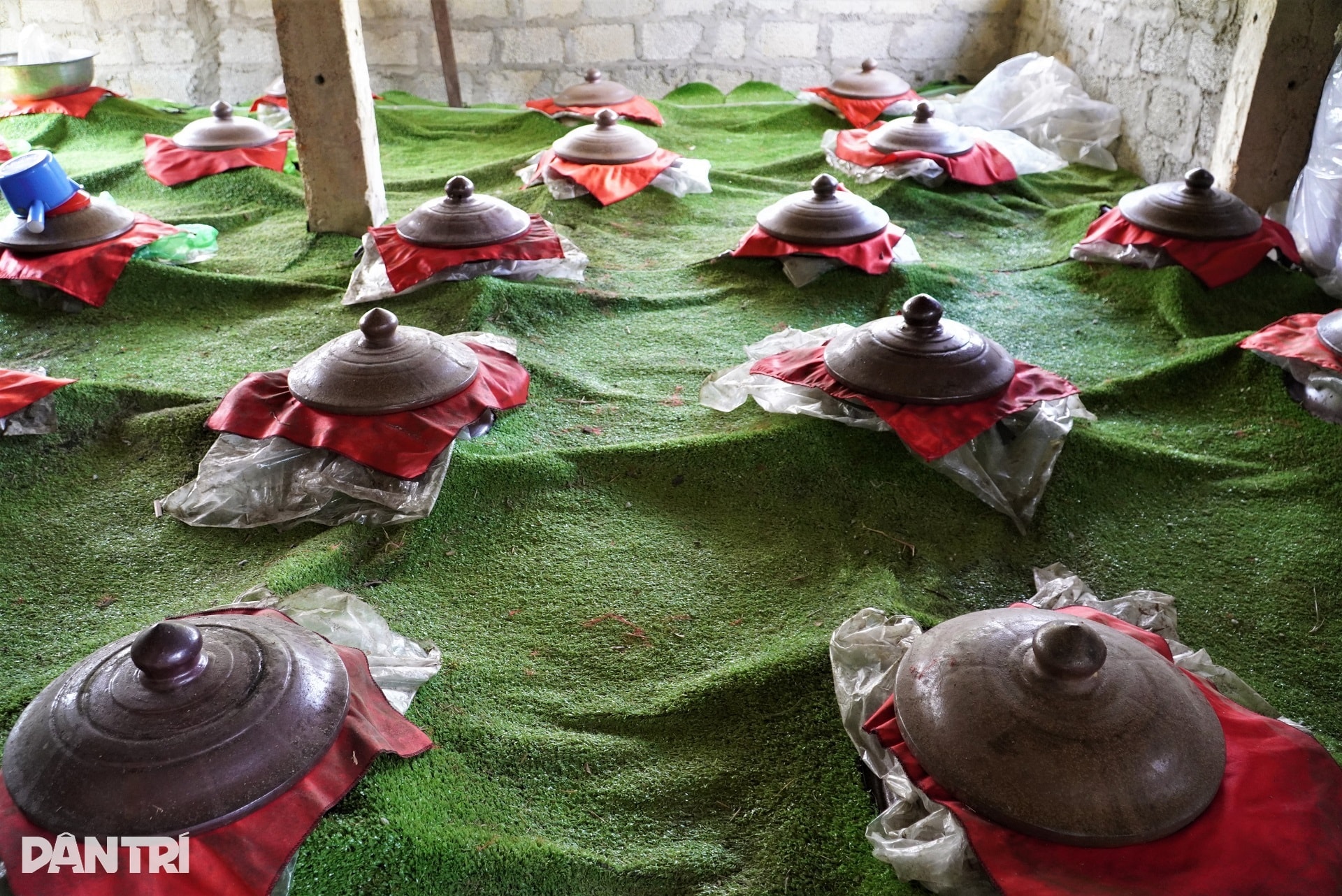 Anh nông dân với cú liều đưa cây thần dược về vùng đất hoang - 10