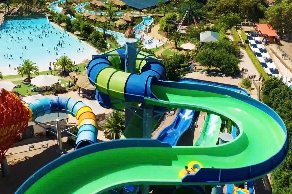 Chuột túi lẻn vào công viên tắm sông lười, bất ngờ lên sóng truyền hình Mỹ - 1