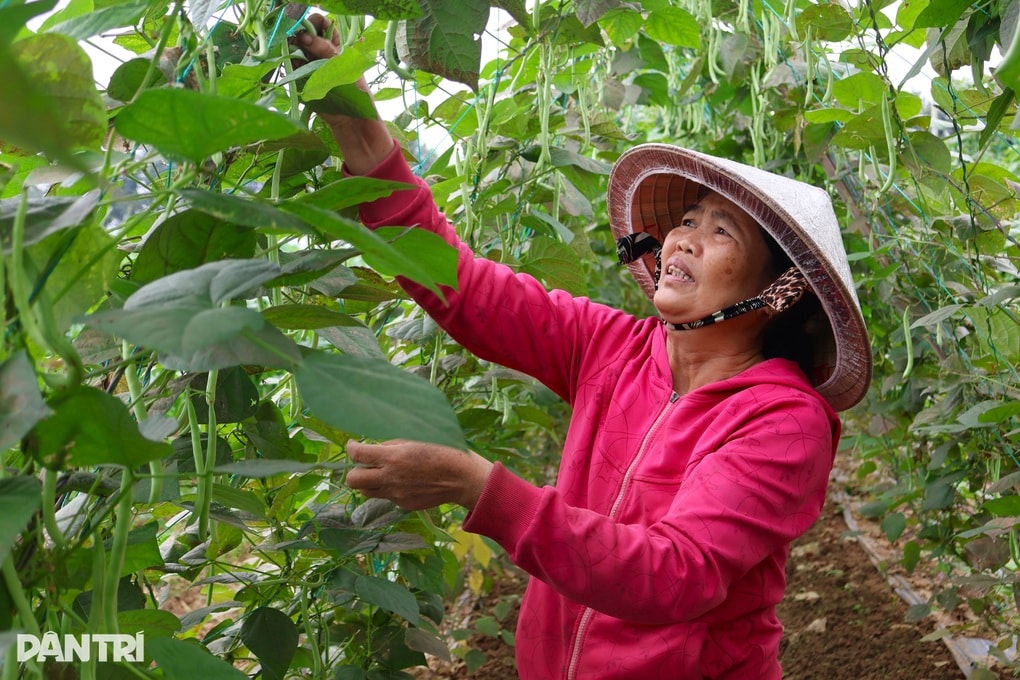 Niềm vui trước Tết của người dân từng bị lũ vùi dập - 2