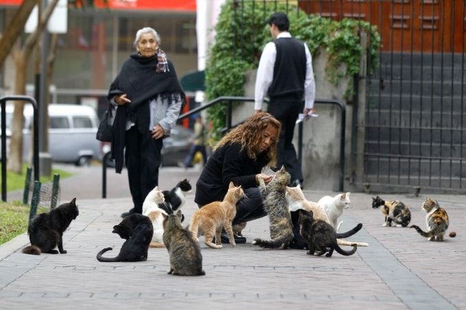 Ảnh minh họa: National Geographic