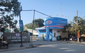 Bị ngừng việc, người lao động Công ty đồ hộp Hạ Long được hỗ trợ thế nào? - Ảnh 2.