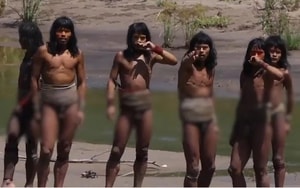 Đang đi bơi, người đàn ông phát hiện loài cá "quý hiếm nhất thế giới" - Ảnh 4.