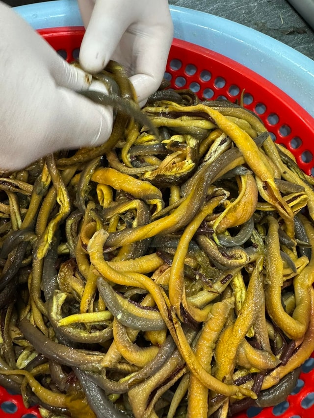 Đặc sản xứ Nghệ: "Bổ hơn sâm" làm nhiều món ngon, bổ, là di sản văn hóa phi vật thể quốc gia - Ảnh 1.