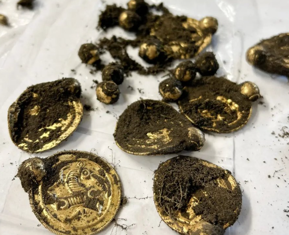 Đang đi chơi, người đàn ông nhặt được vàng quý hiếm - Ảnh 1.