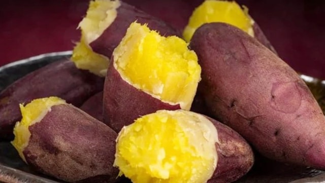 Kho dinh dưỡng từ khoai lang giúp tăng tuổi thọ - Ảnh 1.