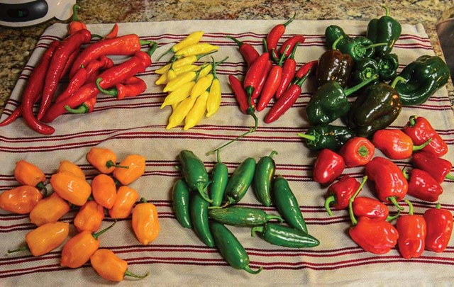 Mỹ đánh giá loại quả "tốt nhất thế giới", ở chợ Việt bán rẻ vài chục nghìn - Ảnh 2.