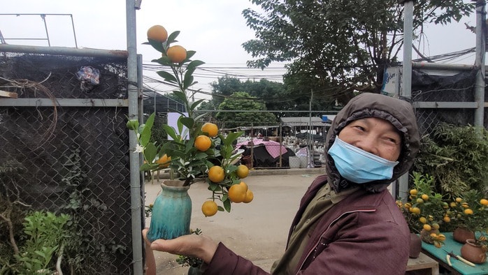 Quất bonsai mini giá rẻ cho Tết Nguyên đán 2026 , lựa chọn hoàn hảo cho không gian sống - Ảnh 1. Quất bonsai mini giá rẻ cho Tết Nguyên đán 2026 , lựa chọn hoàn hảo cho không gian sống - Ảnh 1.