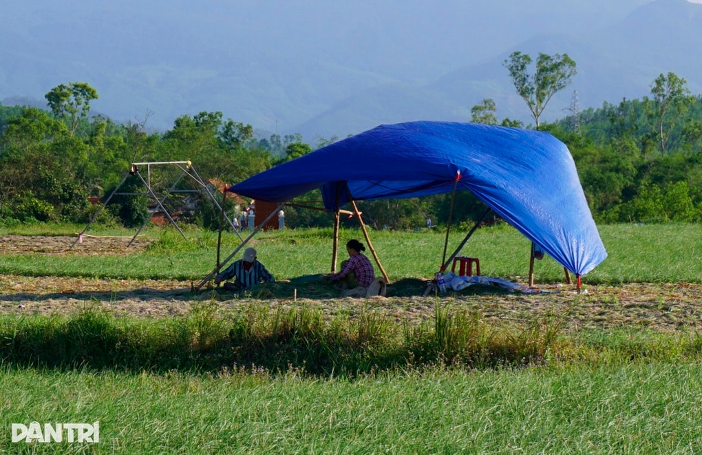 Niềm vui kép của nông dân trồng kiệu - 3 Niềm vui kép của nông dân trồng kiệu - 3