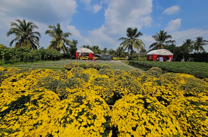 Các quầy livestream tại vườn nhà dân. Ảnh: Thường Sơn