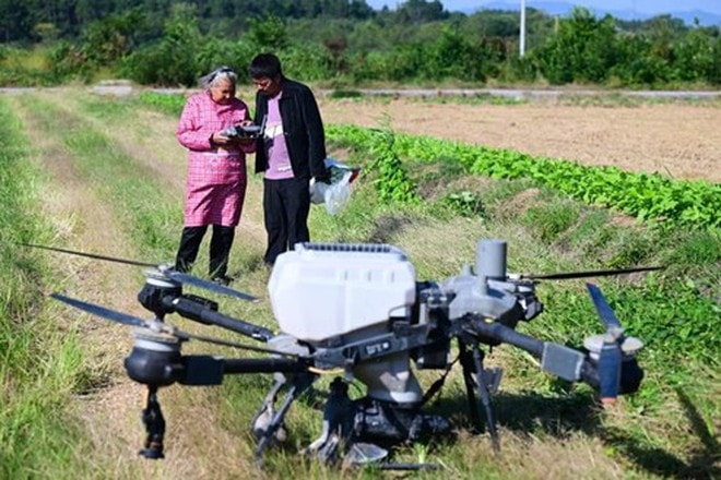"Bà ngoại siêu ngầu": U90 gây sốt khi lái drone bón phân, bán gạo nline - Ảnh 2.
