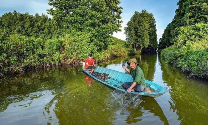 Cà Mau dự chi 9 tỉ đồng nghiên cứu bảo tồn gen loài đặc sản ngon nhất cả nước - Ảnh 1.