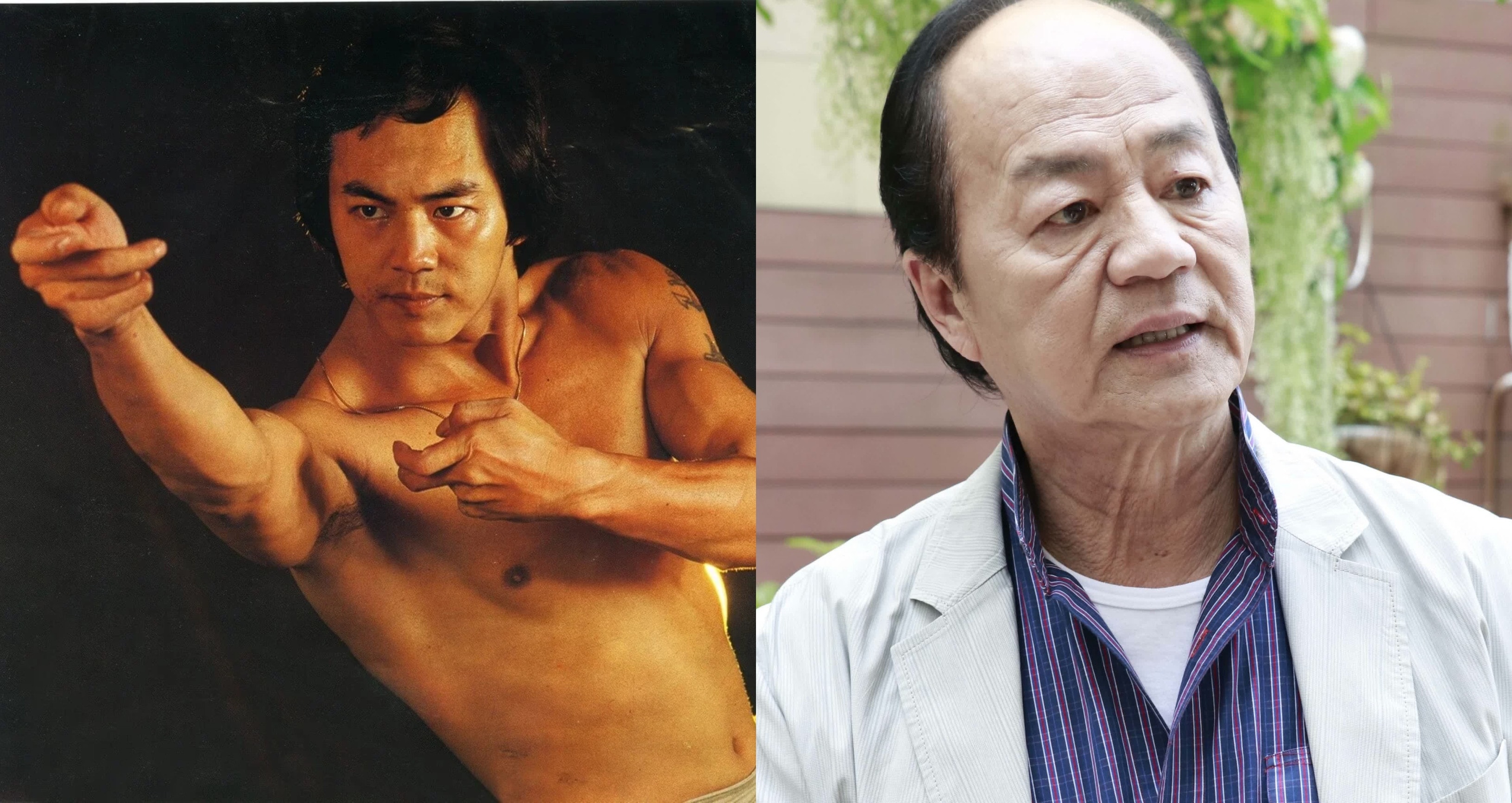 Địch Long là ngôi sao phim võ thuật nổi tiếng