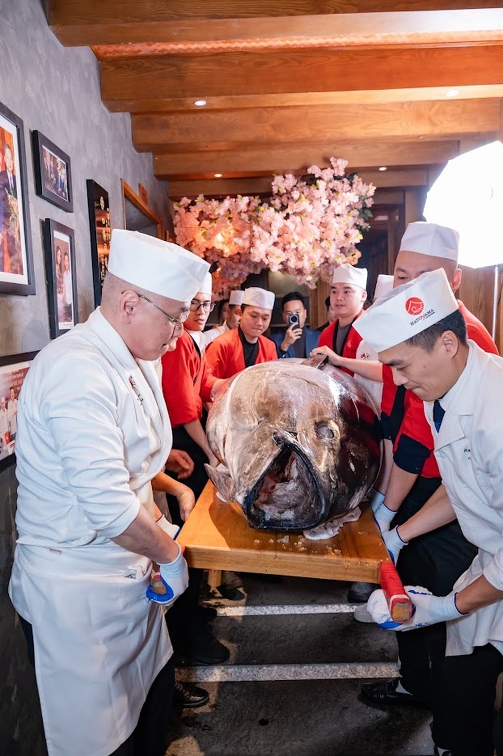 Phan Đinh Tùng trải nghiệm xẻ cá ngừ 234kg tại Hatoyama - 1