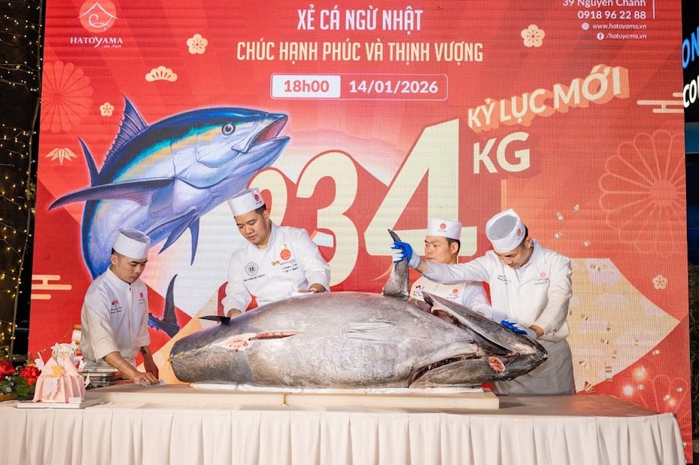 Phan Đinh Tùng trải nghiệm xẻ cá ngừ 234kg tại Hatoyama - 2