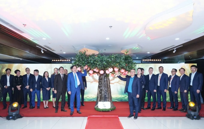 Ban lãnh đạo ngân hàng thực hiện nghi thức thắp sáng Talent Tree. Ảnh: MSB