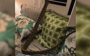 Muốn ly hôn và hưởng tiền bảo hiểm 26 tỷ đồng, bác sĩ Mỹ đầu độc vợ - Ảnh 5.